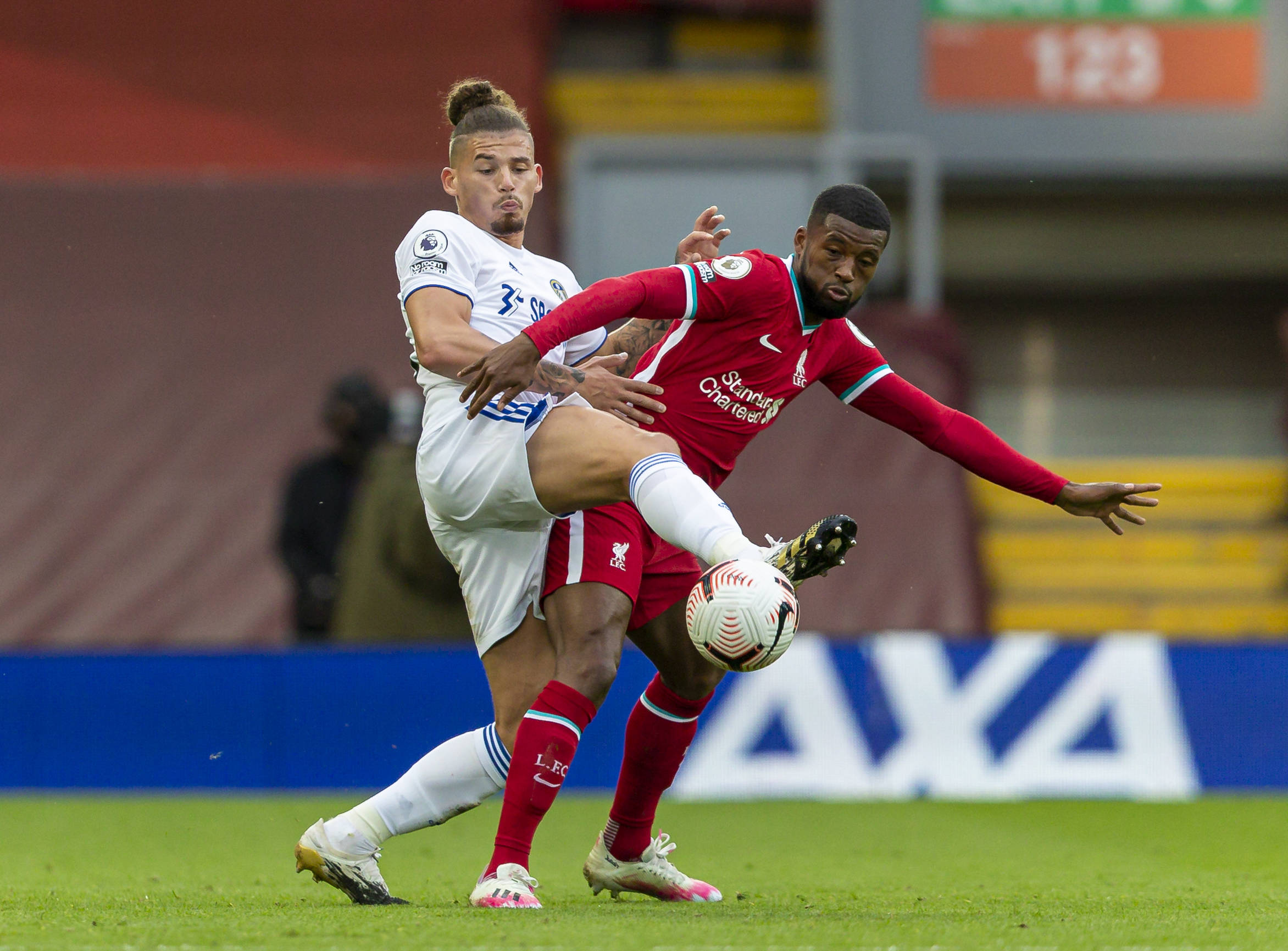 手的崛起 手的崛起