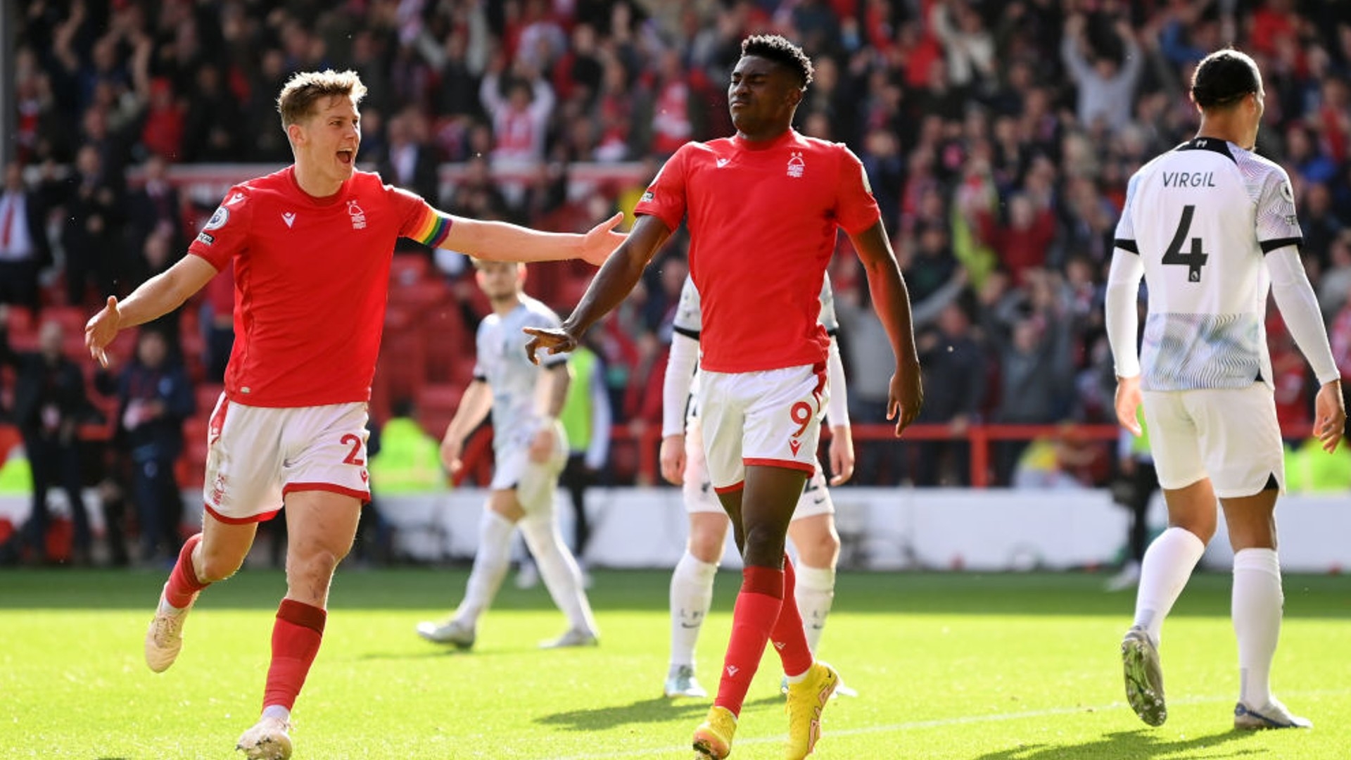 仅可能导致 仅可能导致